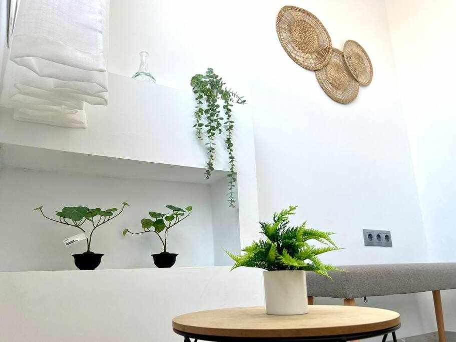 Apartamento Nuevo Centro Historico De Málaga Eksteriør billede